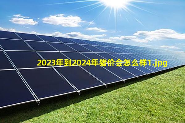 2023年到2024年猪价会怎么样_1