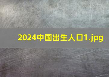 2024中国出生人口_1