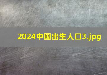 2024中国出生人口_3