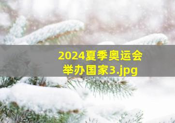 2024夏季奥运会举办国家_3