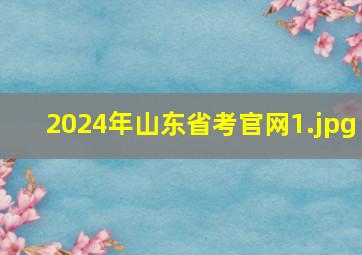 2024年山东省考官网_1