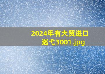 2024年有大贸进口巡弋300_1