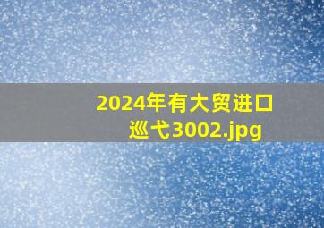 2024年有大贸进口巡弋300_2