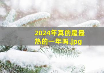 2024年真的是最热的一年吗