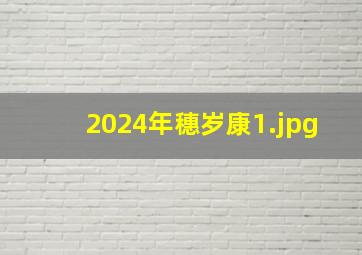 2024年穗岁康_1