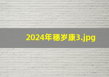 2024年穗岁康_3