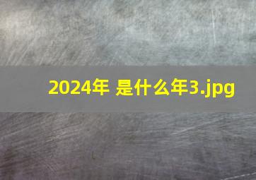 2024年 是什么年_3