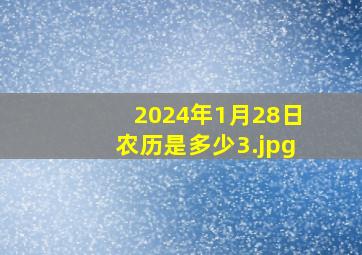 2024年1月28日农历是多少_3