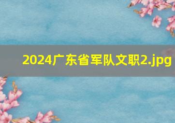 2024广东省军队文职_2