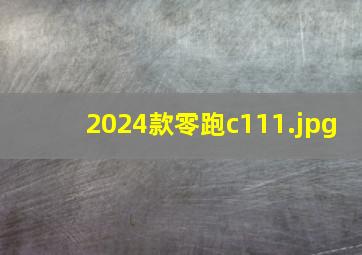 2024款零跑c11_1