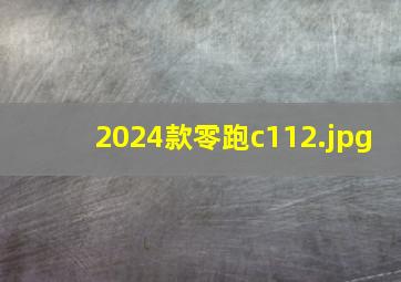 2024款零跑c11_2