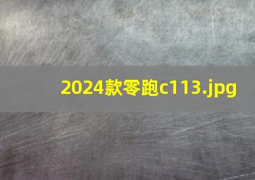 2024款零跑c11_3