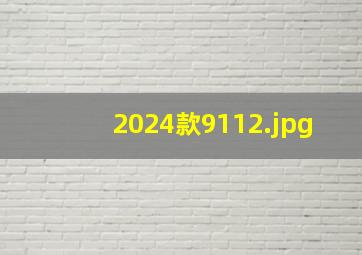 2024款911_2