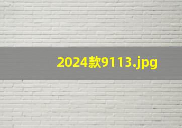 2024款911_3