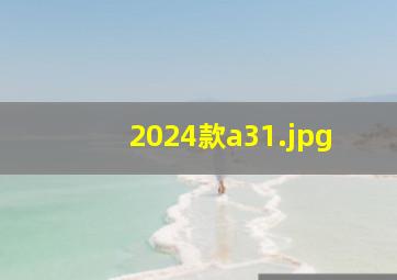 2024款a3_1