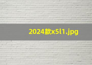 2024款x5l_1