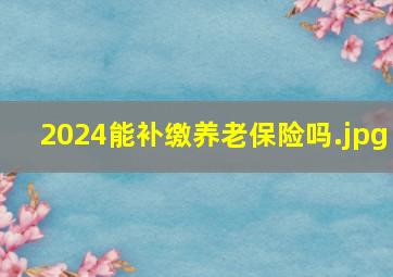 2024能补缴养老保险吗