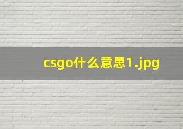 csgo什么意思_1