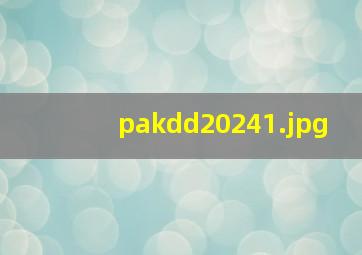 pakdd2024_1