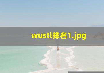 wustl排名_1